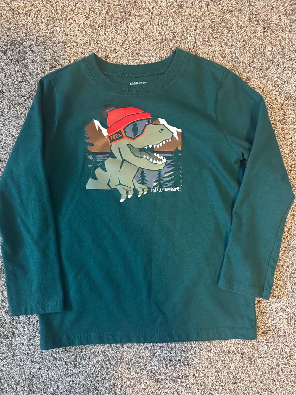 Boys size 5T mix of hoodies and long sleeve shirts - Picture 7 of 9